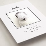 "Cursive" - Birth Announcement Photo Mount Cards in Snow by AK Graphics - Premium Photo Paper Mounted on Card