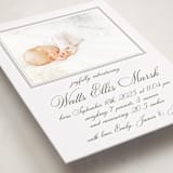"Walden" - Birth Announcement Photo Mount Cards in Fern by Megan Davis - Premium Photo Paper Mounted on Card