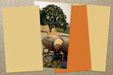 "Botanical Butterfly" - Business Cards in Tangerine by A.C.R. - Back of Card Options