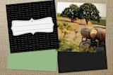 "Through the Lawn" - Business Cards in Grass by Griffinbell Paper Co. - Back of Card Options