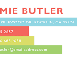 "Disney Mickey Bright Stripes" - Business Cards in Orange by Jill Means - Detail