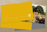 "Busy Bee" - Business Cards in Honey by Rochelle Renee - Back of Card Options