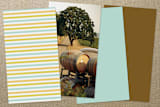 "Colorful Impression" - Business Cards in Seafoam by Robert True of Waui Design - Back of Card Options