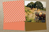 "Corner Boutique" - Business Cards in Orange Whip by Monica Tuazon - Back of Card Options
