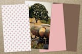 "Keep It Clean" - Business Cards in Blush by SimpleTe Design - Back of Card Options