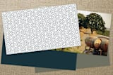 "Through the Lens" - Business Cards in Royal Blue by R studio - Back of Card Options
