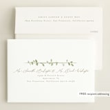 "Canopy" - Baby Shower Invitations in Ivy by Everett Paper Goods - FREE Recipient Addressing
