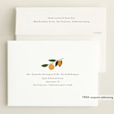 "Little Cutie" - Baby Shower Invitations in Clementine by Stacey Meacham - FREE Recipient Addressing