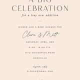 "big celebration, tiny addition" - Baby Shower Invitations in Blush by Sara Hicks Malone - Detail