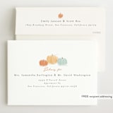 "Autumn Pumpkins" - Baby Shower Invitations in Pumpkin by Rebecca Durflinger - FREE Recipient Addressing