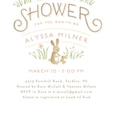"Springtime Bunnies" - Baby Shower Invitations in Blush by Jennifer Wick - Detail