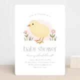 "Little Chick" - Baby Shower Invitations in Blush by Carolyn MacLaren - Front