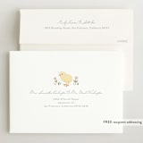 "Little Chick" - Baby Shower Invitations in Blush by Carolyn MacLaren - FREE Recipient Addressing
