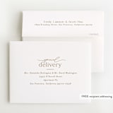 "Mist" - Foil-Pressed Birth Announcement Thank You Cards in Parchment by Everett Paper Goods - FREE Recipient Addressing