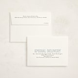 "little name" - Birth Announcement Thank You Cards in Glacier by Susan Asbill - FREE Recipient Addressing