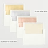 "Classical Border" - Birth Announcements in Creme by mo kelley - Envelope Liner Options