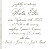 "Walden" - Birth Announcements in Fern by Megan Davis - Detail