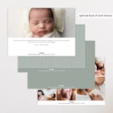 "Delicate" - Birth Announcements in Powder by Sara Hicks Malone - Back of Card