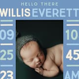 "Colorful Stats" - Birth Announcements in Aqua by Baumbirdy - Detail