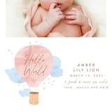 "Baby World" - Birth Announcements in Blush by Kanika Mathur - Detail