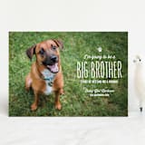 "From your furry first-born" - Birth Announcements in Lily by Lea Delaveris - Front