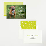 "From your furry first-born" - Birth Announcements in Lily by Lea Delaveris - Assembled