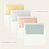 "Precious Script" - Birth Announcements in Sugar by Jessica Williams - Slip-In Envelope Liners