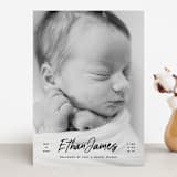 "Just The Facts" - Birth Announcements in Volcano by Owl and Toad - Front