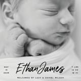 "Just The Facts" - Birth Announcements in Volcano by Owl and Toad - Detail