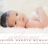 "Graceful Entrance" - Birth Announcements in Flamingo by Jessica Williams - Detail