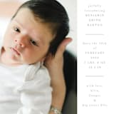 "Tarrytown" - Birth Announcements in Fawn by Megan Davis - Detail