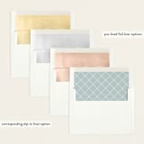 "Precious Script" - Birth Announcements in Sugar by Jessica Williams - Slip-In Envelope Liners