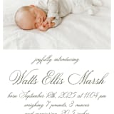"Walden" - Birth Announcements in Fern by Megan Davis - Detail