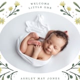 "Spring Blooms" - Birth Announcements in Daffodil by Alice Nelen - Detail