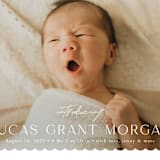 "First Glimpse" - Birth Announcements in Icing by Yaling Hou Suzuki - Detail