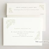 "Tiny Sprig" - Birth Announcements in Sage by Sarah Brown - FREE Recipient Addressing