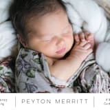 "Merritt" - Birth Announcements in Ink by Megan Davis - Close-Up