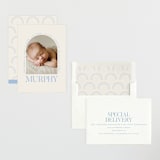"Type Arch" - Birth Announcements in Bluebird Day by Baumbirdy - Assembled