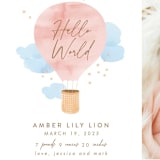 "Baby World" - Birth Announcements in Blush by Kanika Mathur - Detail