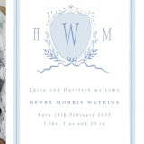 "Crest" - Birth Announcements in Sky by Corinne Malesic - Detail