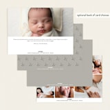 "Classically Stated" - Birth Announcements in Sugar by Sara Hicks Malone - Back of Card Options