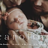 "Classically Stated" - Birth Announcements in Sugar by Sara Hicks Malone - Detail