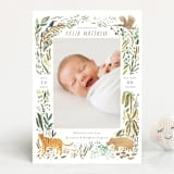 "Jungle Friends" - Birth Announcements in Jungle by Morgan Ramberg - Front