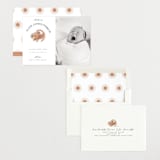 "Disney The Little Lion King" - Birth Announcements in Desert by Maja Cunningham - Assembled
