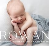 "Frosted Frame" - Birth Announcements in Sugar by Jessica Williams - Detail