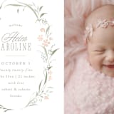 "Dottie" - Birth Announcements in Sweet Pea by Erin L. Wilson - Detail