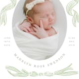 "Ribbon Bow Frame" - Birth Announcements in Mint by Stephanie Hawkes - Detail