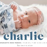 "Bold Nickname" - Birth Announcements in Bluebird by Shirley Lin Schneider - Detail