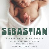 "Boldly Named" - Birth Announcements in Forest by Anna Elder - Detail