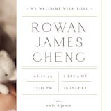 "Birth Stats Label" - Birth Announcements in Lime by Shirley Lin Schneider - Detail